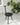 Spade Chair — Black Edition-Faye Toogood-Please Wait to be Seated-black-AAVVGG